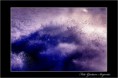 /album/galleria-fotografica/gae-4-jpg/